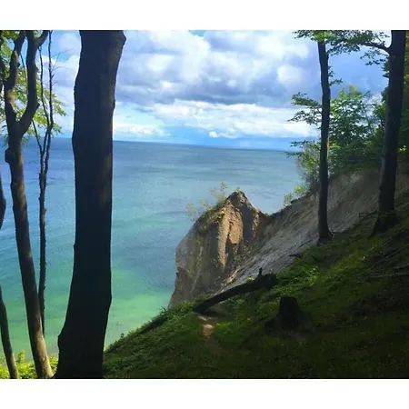 Max No 5 Comfortable *