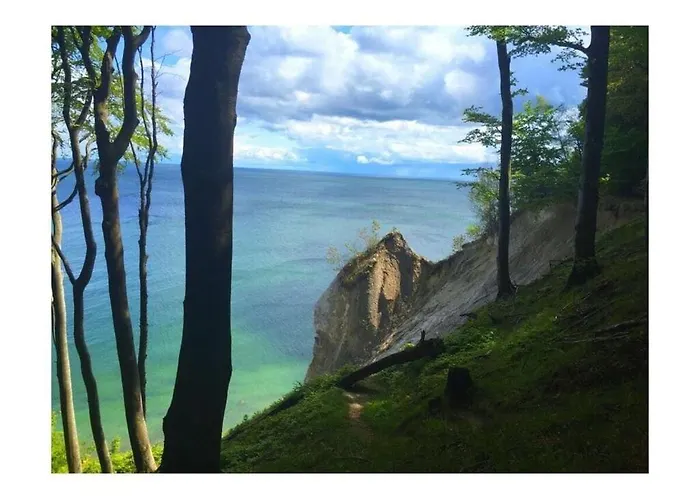 Max No 5 Comfortable *